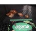 Caracol gigante Tigre -  (Achatina achatina)